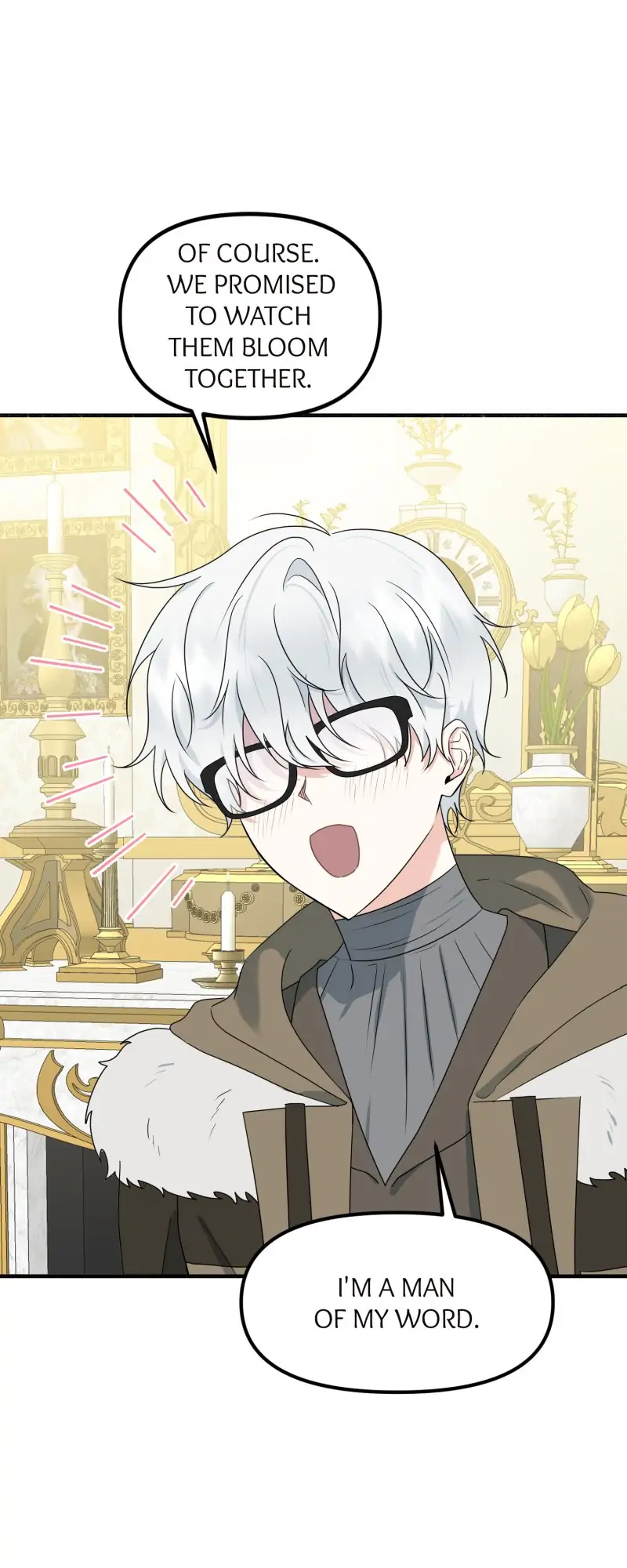 32997431 800 2000 74768