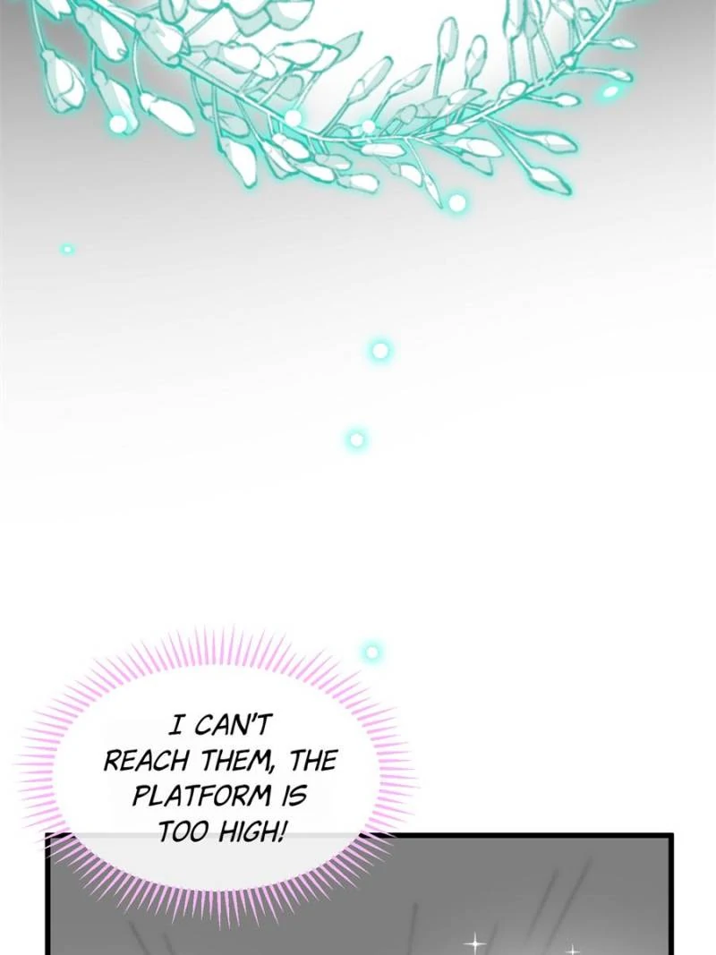 81497598 800 1067 46740